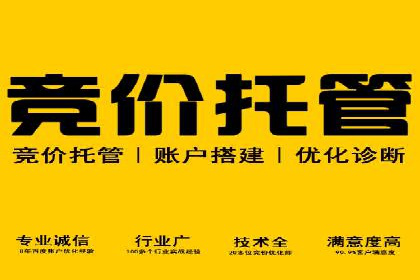 成功案例：专业SEM托管服务助力企业拓展海外市场